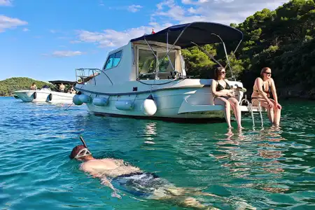 Halbtägige Gruppenbootstour von Zadar zu den nahen Inseln