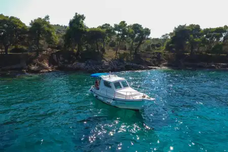 Halbtägige Gruppenbootstour von Zadar zu den nahen Inseln